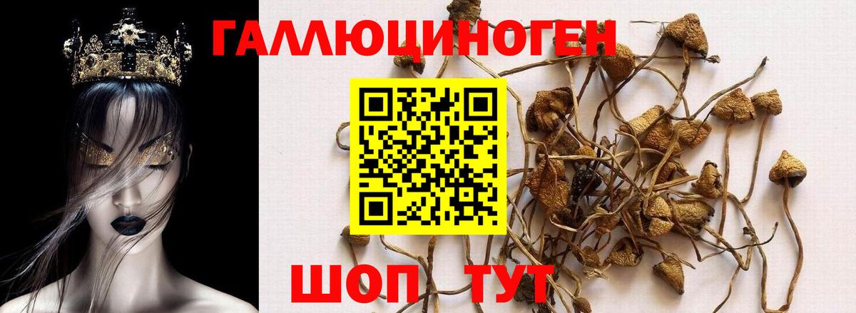 Галлюциногенные грибы прущие грибы  Вход с VPN  Псилоцибиновые грибы мицелий  Ковров 