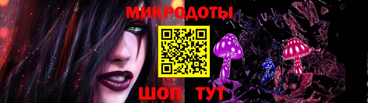 Псилоцибиновые грибы Psilocybe Ковров
